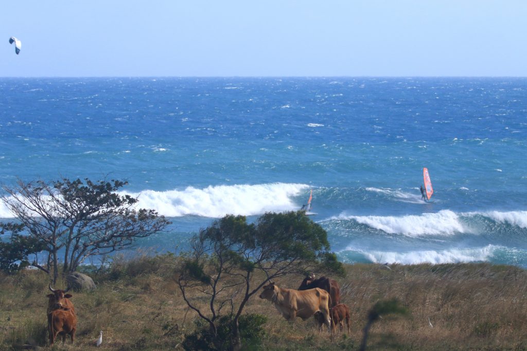 Windsurf Taiwan Dulan - WaGaLiGong Dulan Surf & SUP House & Bar 哇軋力共都蘭衝浪/立槳/酒吧 Taiwan Taitung Dulan